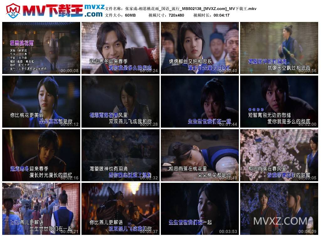 张家成-相思桃花雨_国语_流行_MB502138